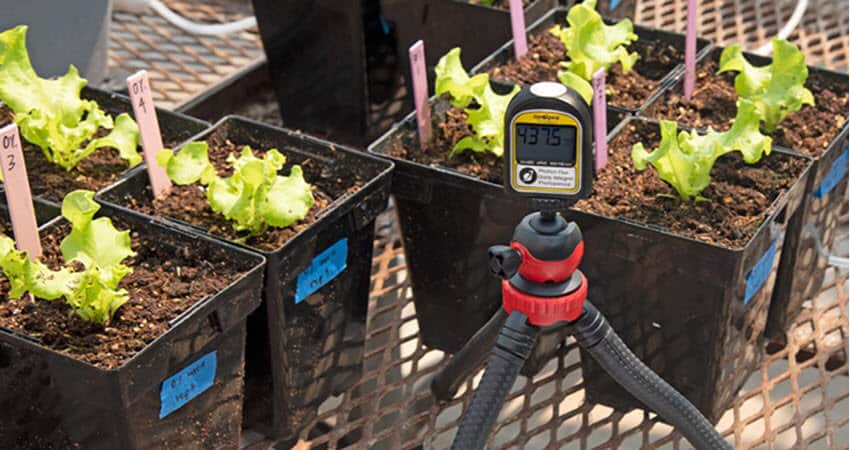 Apogee DLI 600 tripode